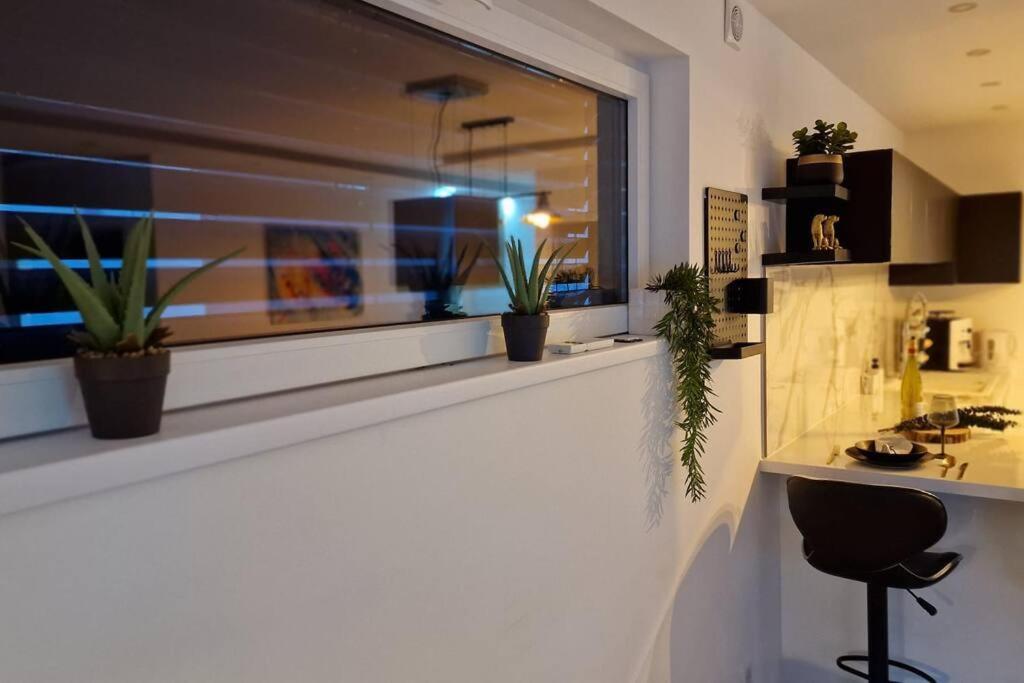Suite Prestige Logement Neuf Avec Spa Et Ecran De Cinema En Rez De Jardin Colmar Esterno foto
