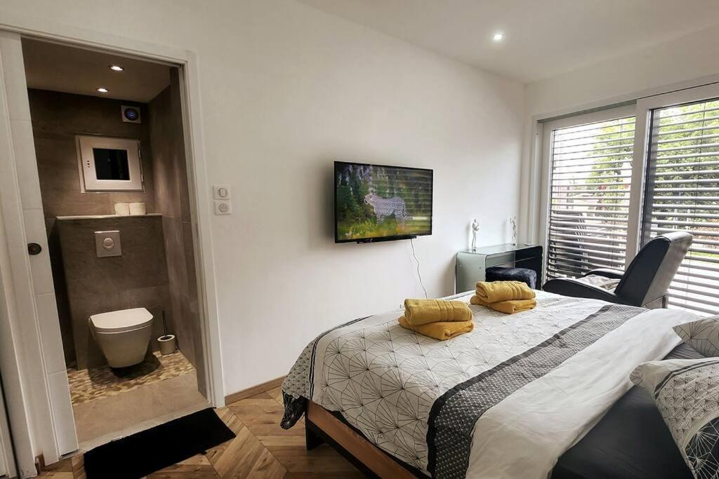 Suite Prestige Logement Neuf Avec Spa Et Ecran De Cinema En Rez De Jardin Colmar Esterno foto