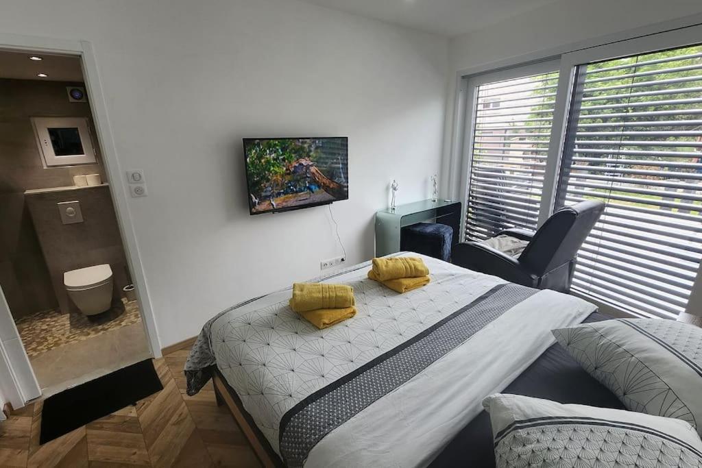 Suite Prestige Logement Neuf Avec Spa Et Ecran De Cinema En Rez De Jardin Colmar Esterno foto