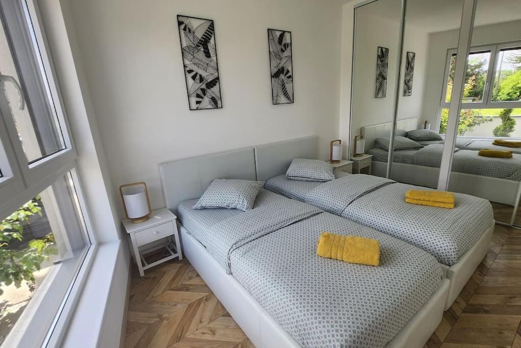 Suite Prestige Logement Neuf Avec Spa Et Ecran De Cinema En Rez De Jardin Colmar Esterno foto