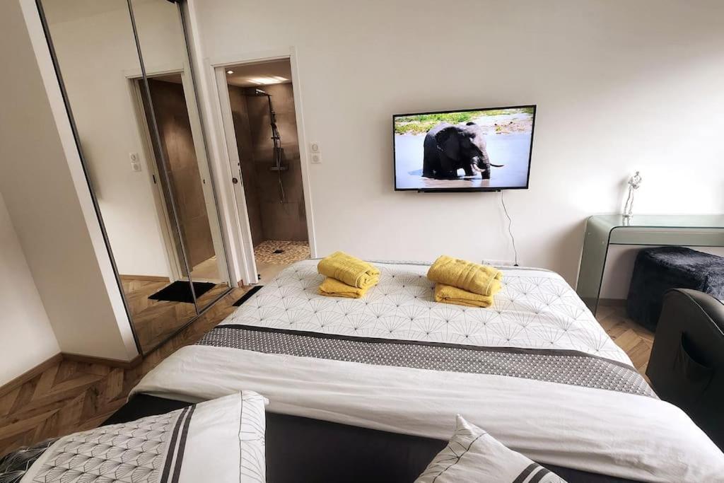 Suite Prestige Logement Neuf Avec Spa Et Ecran De Cinema En Rez De Jardin Colmar Esterno foto